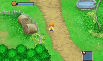 Harvest Moon 3D - The Tale of Two Towns (v02)(USA) screen shot game playing
